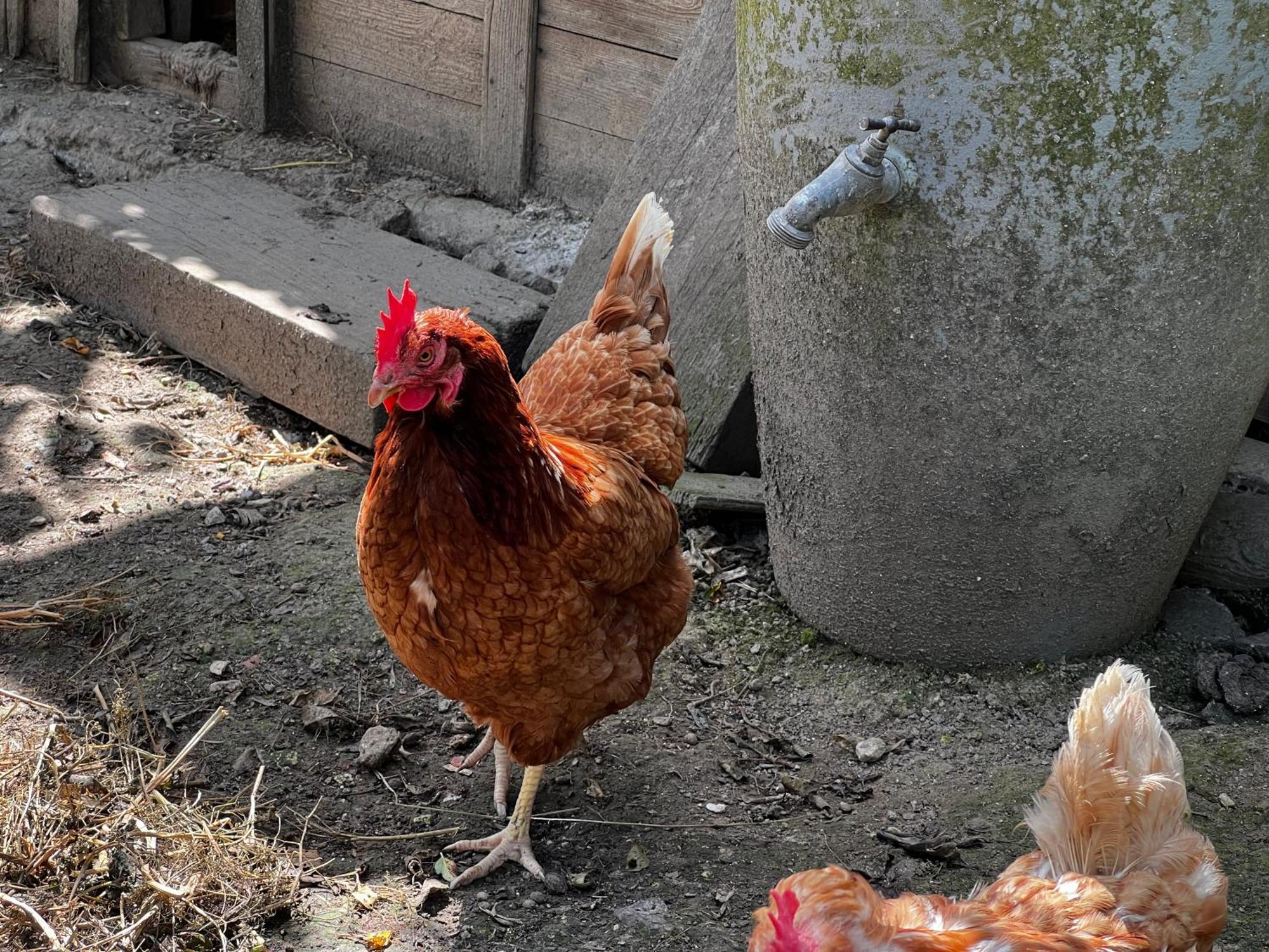 Ligny-Thilloy A La Ferme De Thilloy B&B 외부 사진